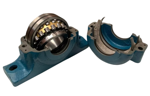 Chumacera bipartida Chumacera bipartida